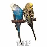 Eigenschaften Trixie  / Trixie Aufkl. Vogel-Wellensittich, Paar