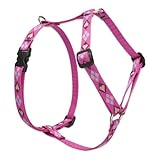 Lupine Designer Roman Dog Harness
