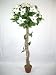 4.75ft Artificial Cream Poinsettia Topiary Tree ~ Christmas Tree ~ xmas tree