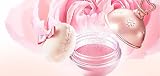 LADUREE ラデュレ パウダーチークカラー