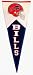 Buffalo Bills Classics NFL Classic Collection Pennant from Winning Streak Sports