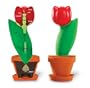Learning Resources - Cross-Section Flower Model