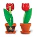 Learning Resources - Cross-Section Flower Model