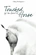 Touched By The Spirit of A Horse