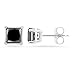 14k White Gold Princess-Cut Black Diamond Stud Earrings (2.00 cttw, I-J Color, I2-I3 Clarity)