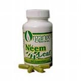 Neem Leaf 440 mg. - 90 Capsules