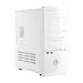 Nachgebauter Apple PC