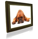 Electronics : Pictorea Pro 15" Digital Photo Frame (Black Wood) MP3/Movies/Jpeg & Remote With Zero Dead Pixel Warranty