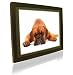 Pictorea Pro 15 Digital Photo Frame (Black Wood) MP3/Movies/Jpeg & Remote With Zero Dead Pixel Warranty