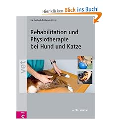 Rehabilitation und Physiotherapie bei Hund und Katze