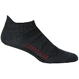 Icebreaker Women's Bike Ultralite Micro Sock