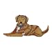 ID 2808 Fluffy Dog Laying Patch Retriever Puppy Pet Embroidered Iron On Applique