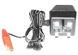 Atco Genuine F016L37612 Battery Charger