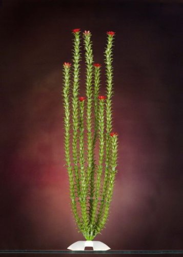 JW Pet Company Anacharis XXLarge Aquarium Plant