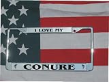 CONURE BIRD LASER ENGRAVED CHROME LICENSE PLATE FRAME NEW