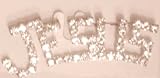 Sparkling Crystals Rhinestones Jades and Simulated Pearls on Genuine Silver Plated Gita Brooch Pin for Women and Teens