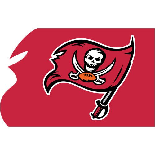 Tampa Bay Buccaneers NFL Applique Banner Flag (44x28) (Battle Flag)