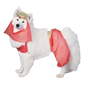 Harem Dog Halloween Costume