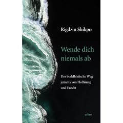 Wende Dich niemals ab: Der buddhistische Weg jenseits von Hoffnung und Furcht