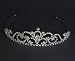 Wedding Tiara Queens Crown Rhinestone Crystal Pageant Bridal Hair Accessory