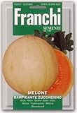 【FRANCHI社種子】【91/7】イタリアンメロン　RAMPICANTE ZUCCHERINO