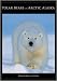 Polar Bears of Arctic Alaska