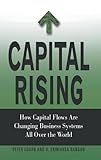 Capital rising : how capital flows are changing business systems all over the world