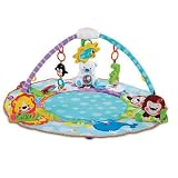 piano mat:Fisher-Price Precious Planet Deluxe Musical Activity Gym