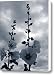 Blue Summer Canvas Print / Canvas Art - Artist Theresa Baker