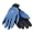 Detroit Lions
