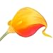 Luyue 20 Pcs Fake Calla Lily Artificial Flowers Bridal Wedding Bouquet Latex Real Touch Flower Home Kitchen Office Decor-Sunset Orange
