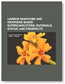 Carbon nanotube and graphene based supercapacitors: rationale, status, and prospects