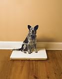 Pet Product PWC17-10798 PetSafe Stay Mat The Wireless Crate - Medium
