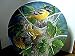 Kevin Daniel Baltimore Oriole Plate