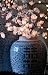 Lighted White Plum Branch 60 Bulbs - 20 Inches
