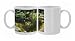 Photo Mugs of PM-4332 Garden Pond - with a variety of Water Plants, Bog Bean, Water Lilies, from Ardea Wildlife Pets