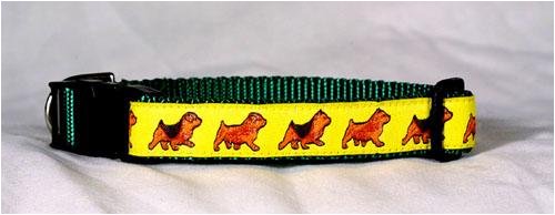 Designer Norfolk/Norwich Terrier Dog Collar - Yellow on Burgundy Norfolk/Norwich Terrier Collar - Medium - Made in USA