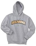Selanne Adult Hooded Sweatshirt
