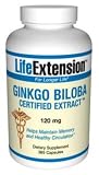 Ginkgo Biloba Extract 120mg 365 Caps