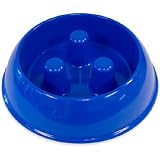 ^Medium brake-fast bowl (Blue)