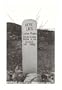 Boothill Grave, Tombstone, Arizona Art Poster Print, 13x18