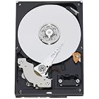 Western Digital 500GB 3.5", SATA, 16MB Cache Bulk/OEM Hard Drive WD5000AAKS