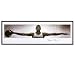 Michael Jordan Chicago Bulls - Nike Wings Concept Poster - Framed Autographed 76x28 Panoramic Photograph