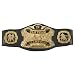 WWE Title Belts - Tag Team