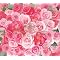 T.M.Revolution (CD album&New works)