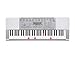 Casio LK280 61-Lighted Key Touch Sensitive Personal Keyboard