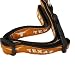NCAA Texas Longhorns Dog Collar (Team Color, Medium)