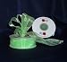 Sheer Organza Ribbon Mono Edge - 7/8" - 25 Yards (75 FT) - Lime Green