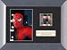Spider-Man Film Cell Presentations