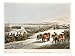 The Allies Before Dantzic in Winter, Engraved by Matthew Dubourg Art Giclee Poster Pr...
